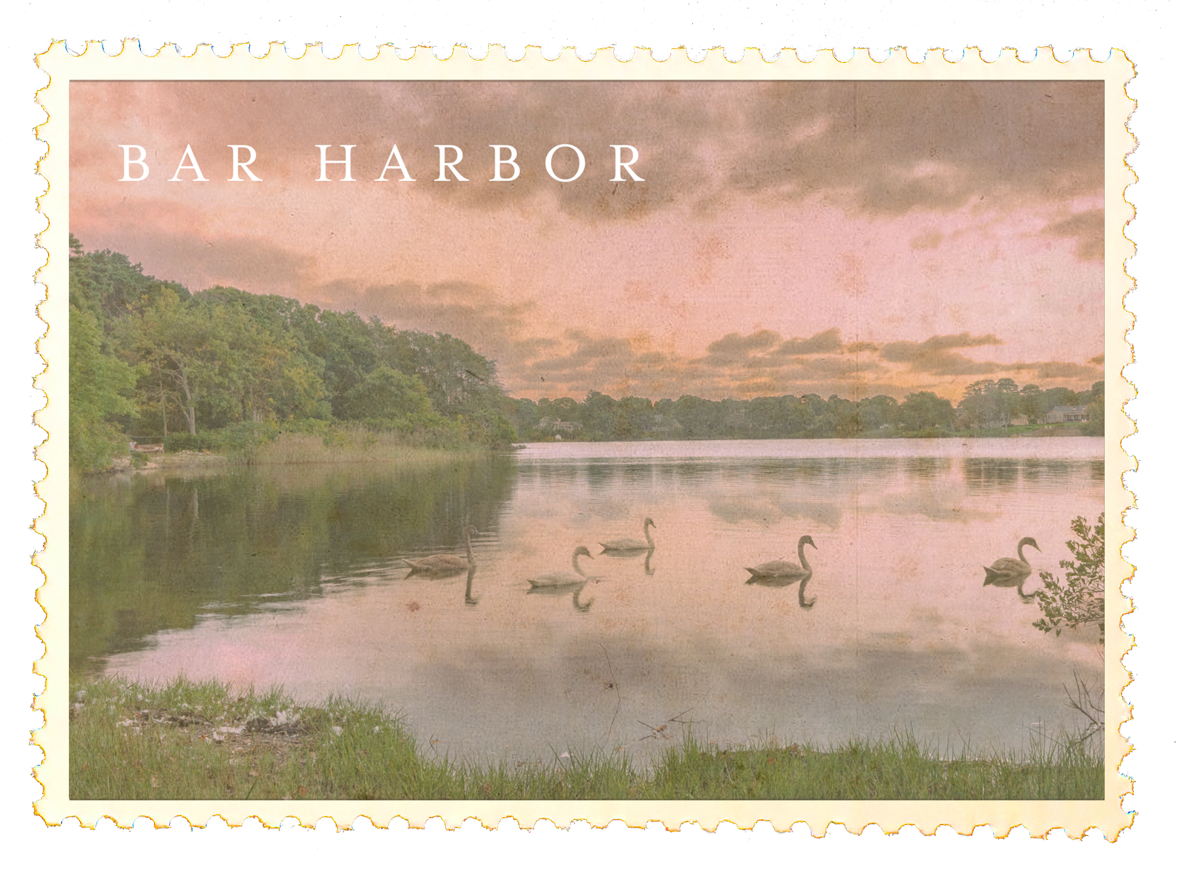 Bar Harbor