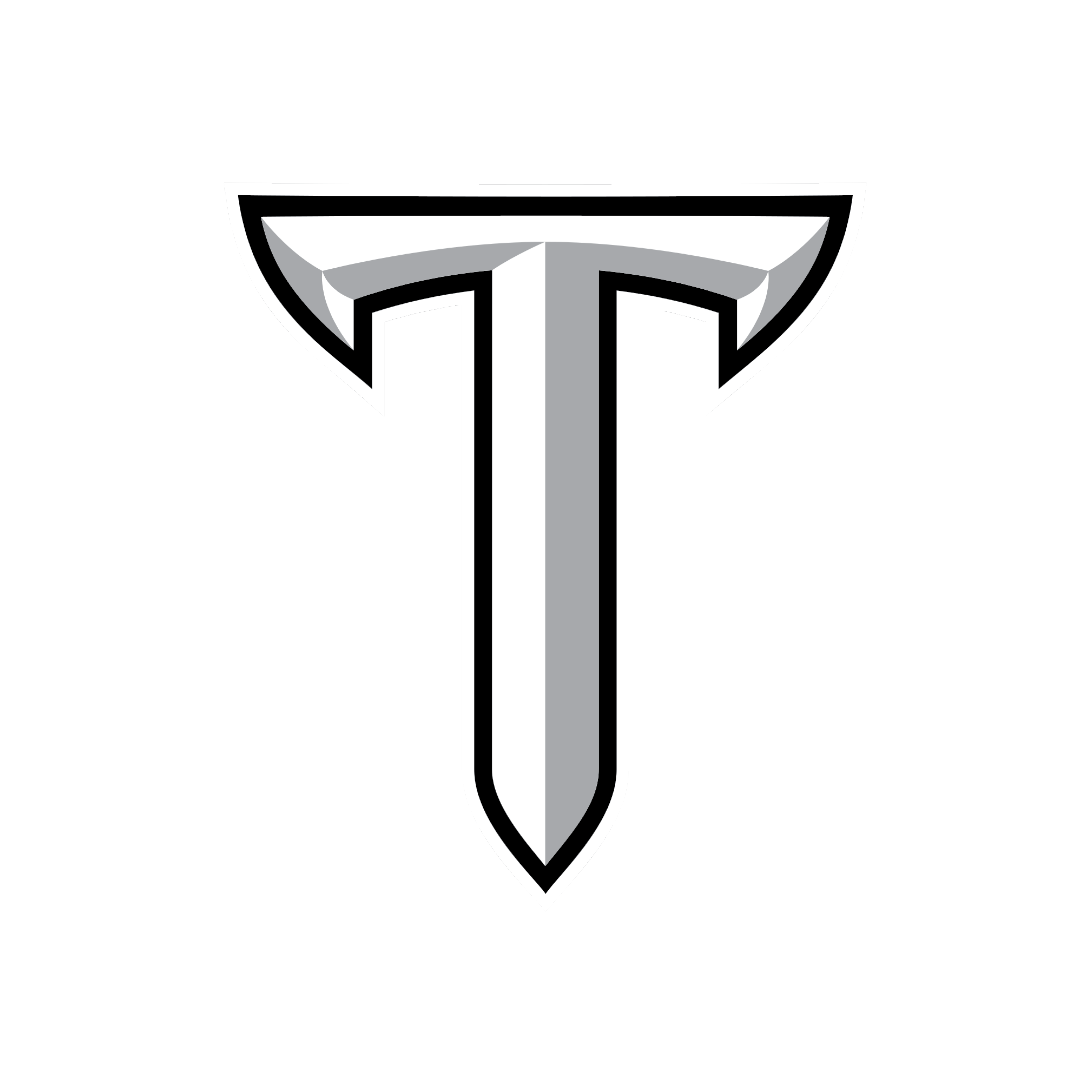 Troy Logo