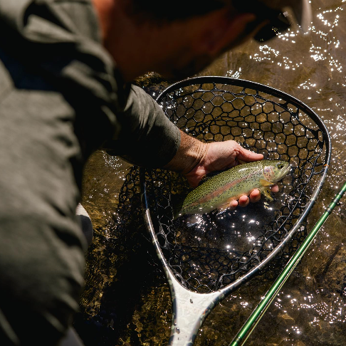 Man wearing GenTeal Green Heathered Hooded T-Shirt while holding a trout in a net 